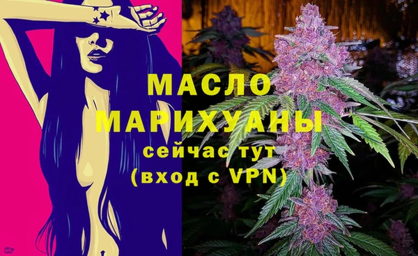 индика Заводоуковск