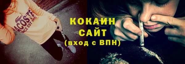 индика Заводоуковск