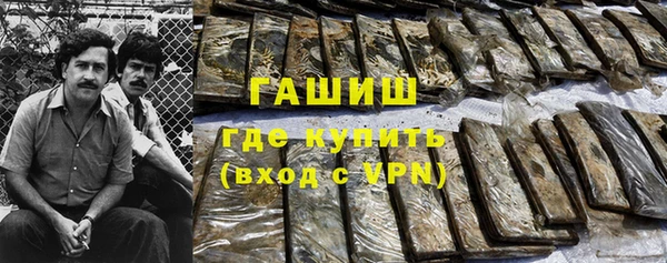 индика Заводоуковск