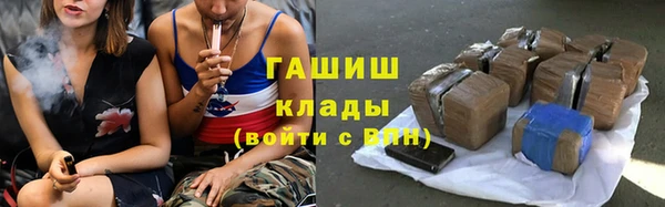 индика Заводоуковск