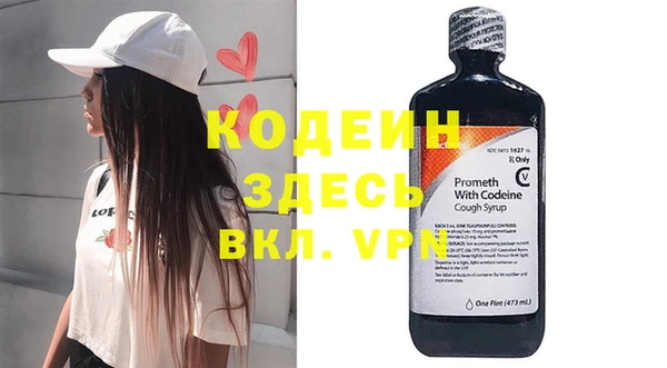 индика Заводоуковск