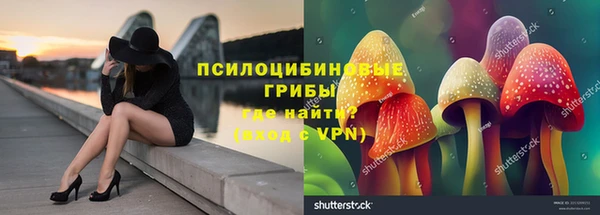 крисы Заволжск