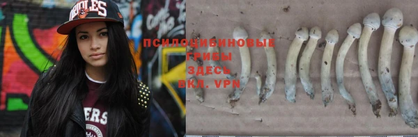 крисы Заволжск