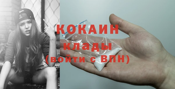 индика Заводоуковск