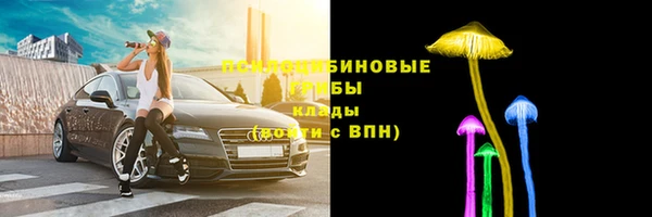 индика Заводоуковск