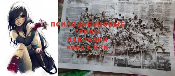 индика Заводоуковск