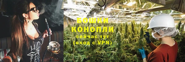 индика Заводоуковск
