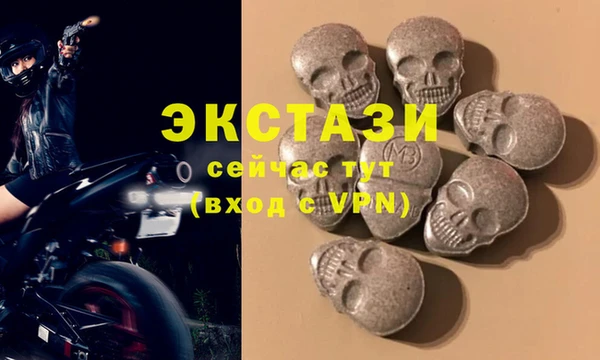 индика Заводоуковск